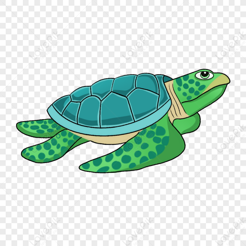 Turtle Looking Up Clipart,sea Turtle,turtles,cartoon PNG Picture And ...