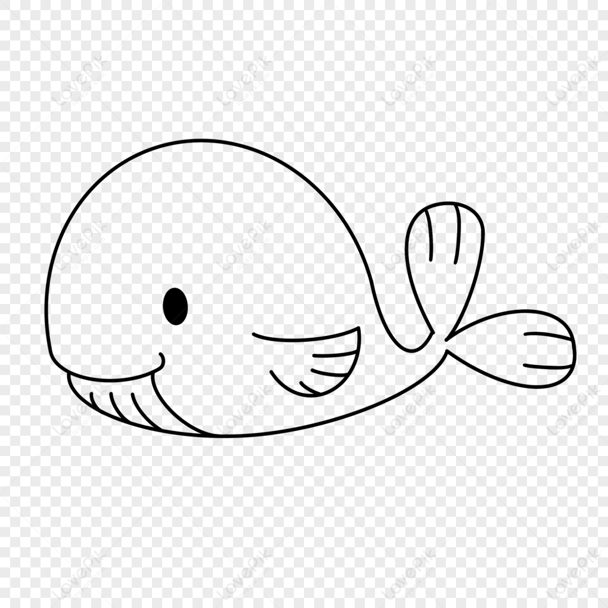 240000 Baleine Clipart Images PNG Avec Fond Transparent