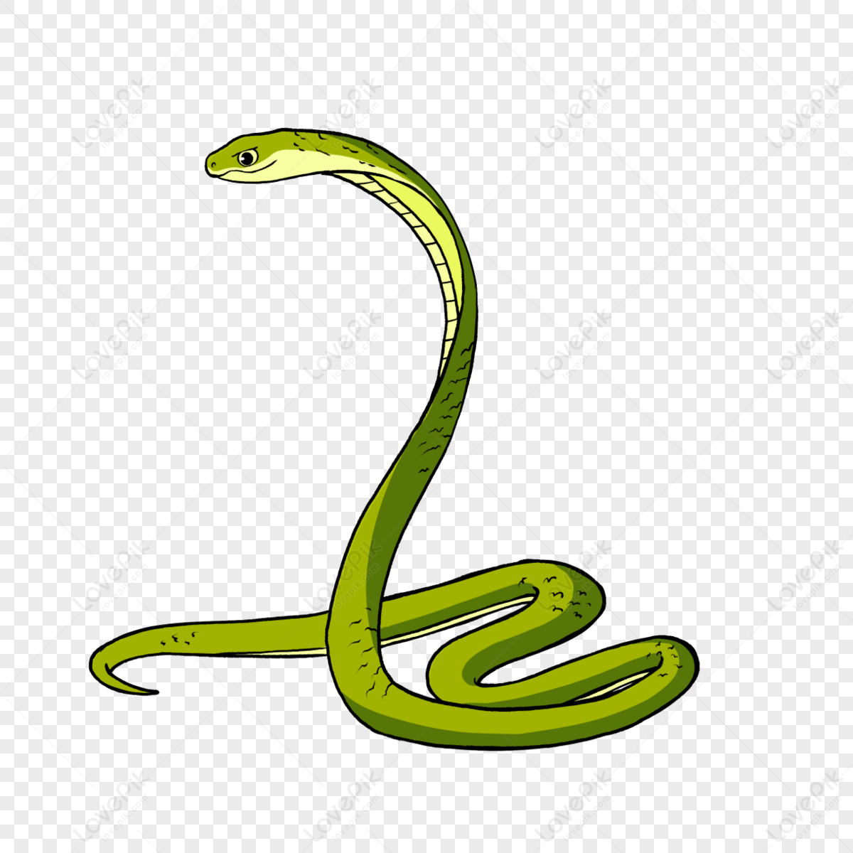 Cobra Clipart Cartoon Style Green,animal,snake Clip Art,viper PNG Image ...