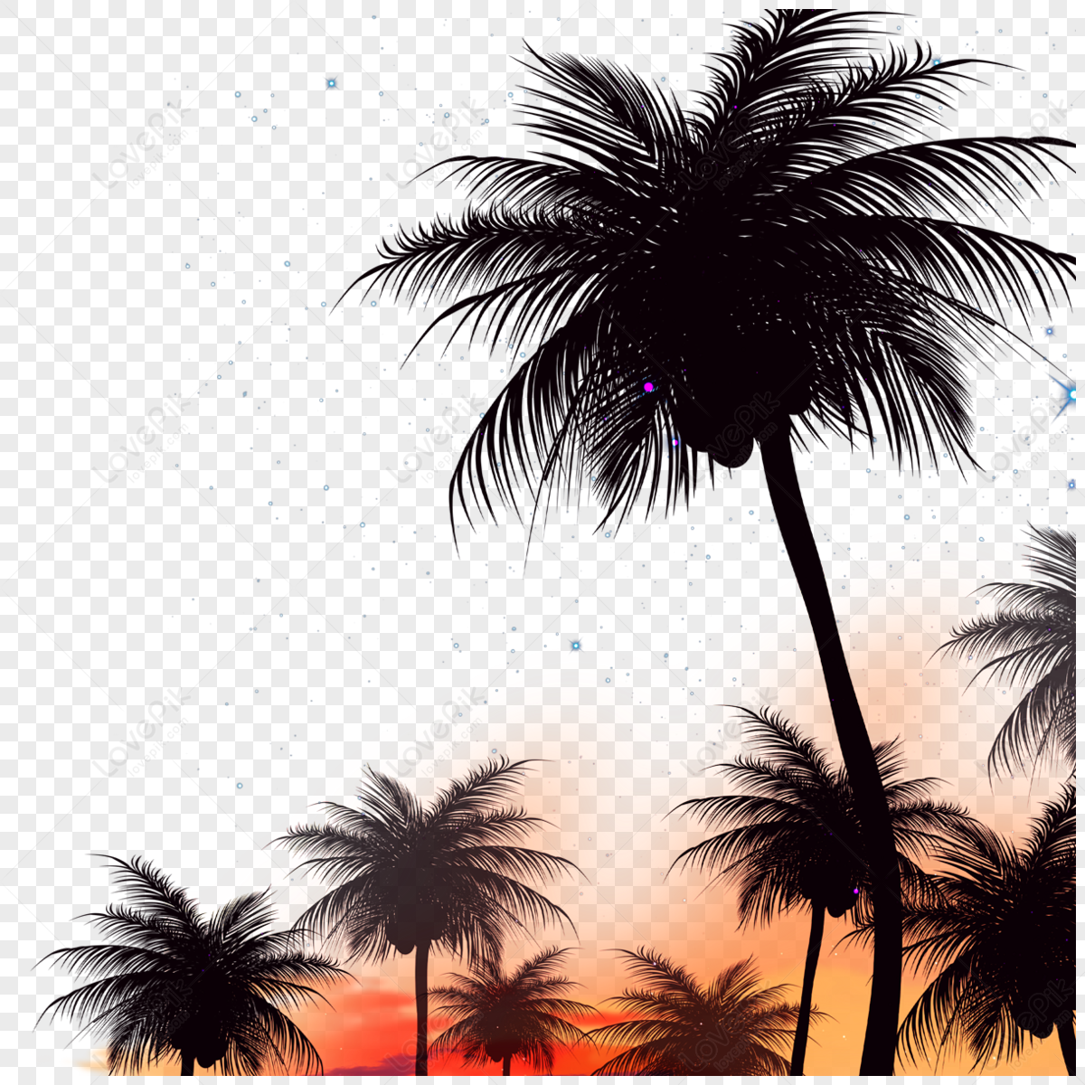 Coconut tree silhouette summer night border,ocean,abstract png picture