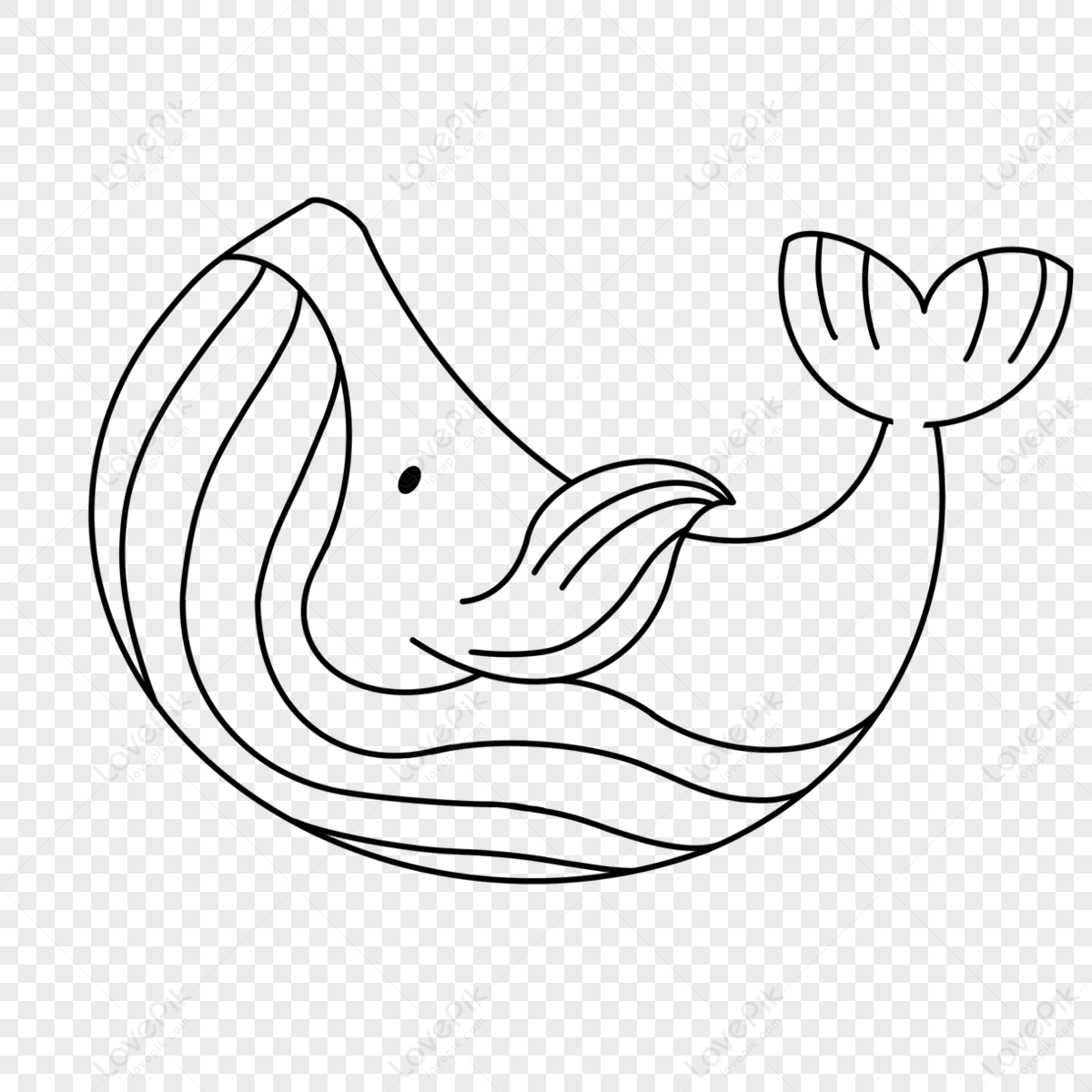 Whale Fin PNG Images With Transparent Background | Free Download On Lovepik