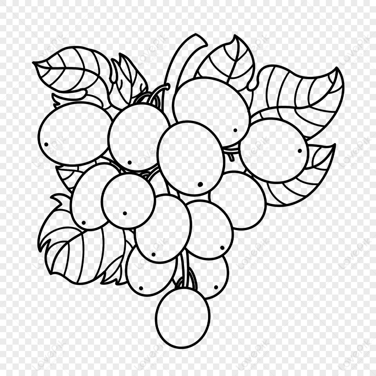 Fruit Grape Clipart Black And White,fruit Grapes,black Grapes Free PNG ...