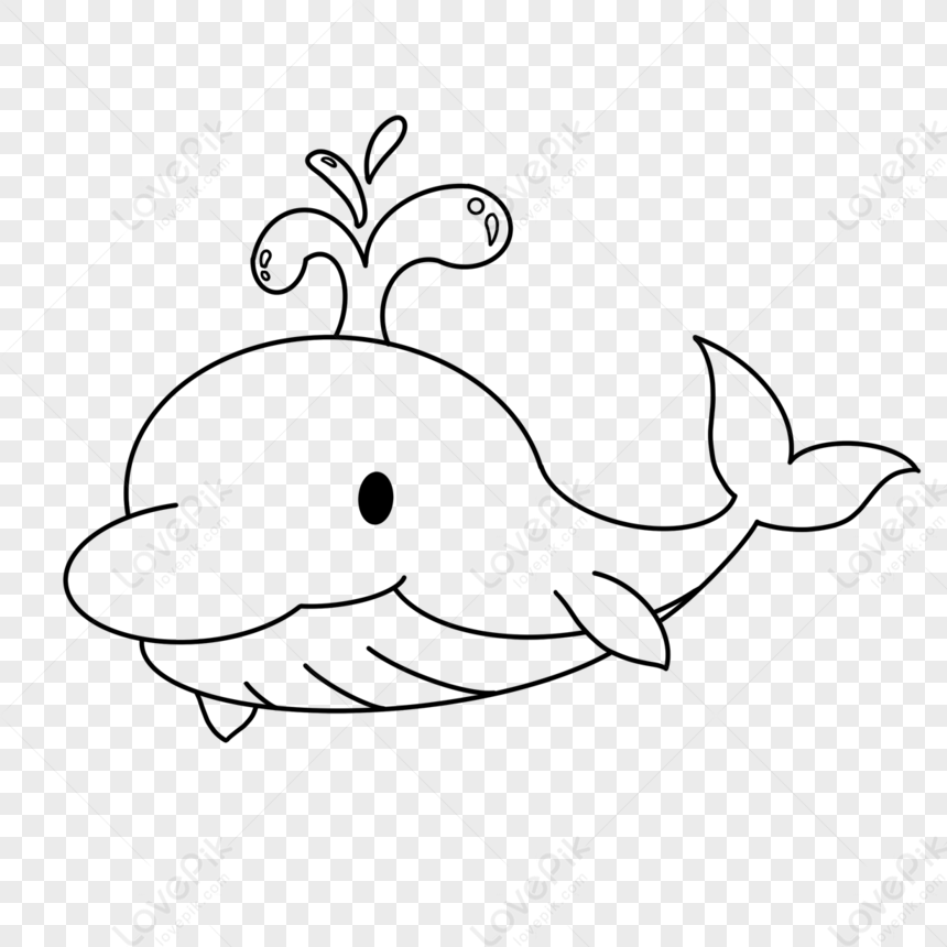 Photo de Baleine Long Bec Clipart Noir Et Blanc long facturation