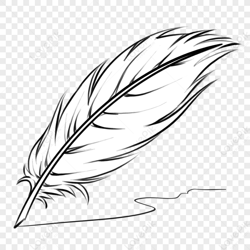 Quill Piuma In Bianco E Nero Clipart,piuma,bianco E Nero PSD Immagine  Gratis, Grafica download su Lovepik