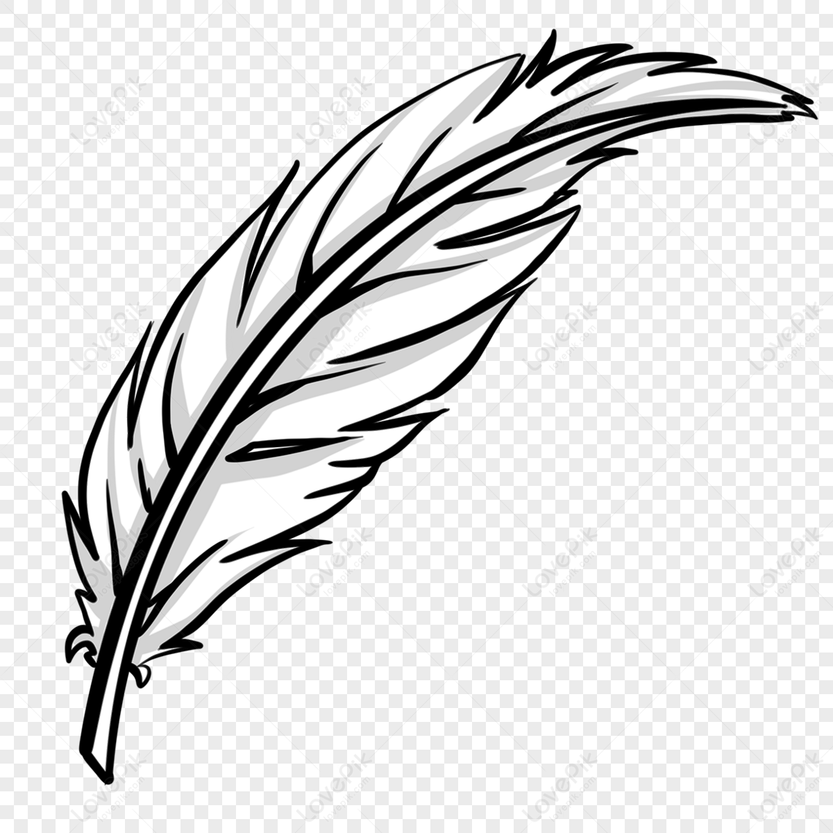 Quill Black And White Feather Clipart,white Feathers,black Feathers PNG ...