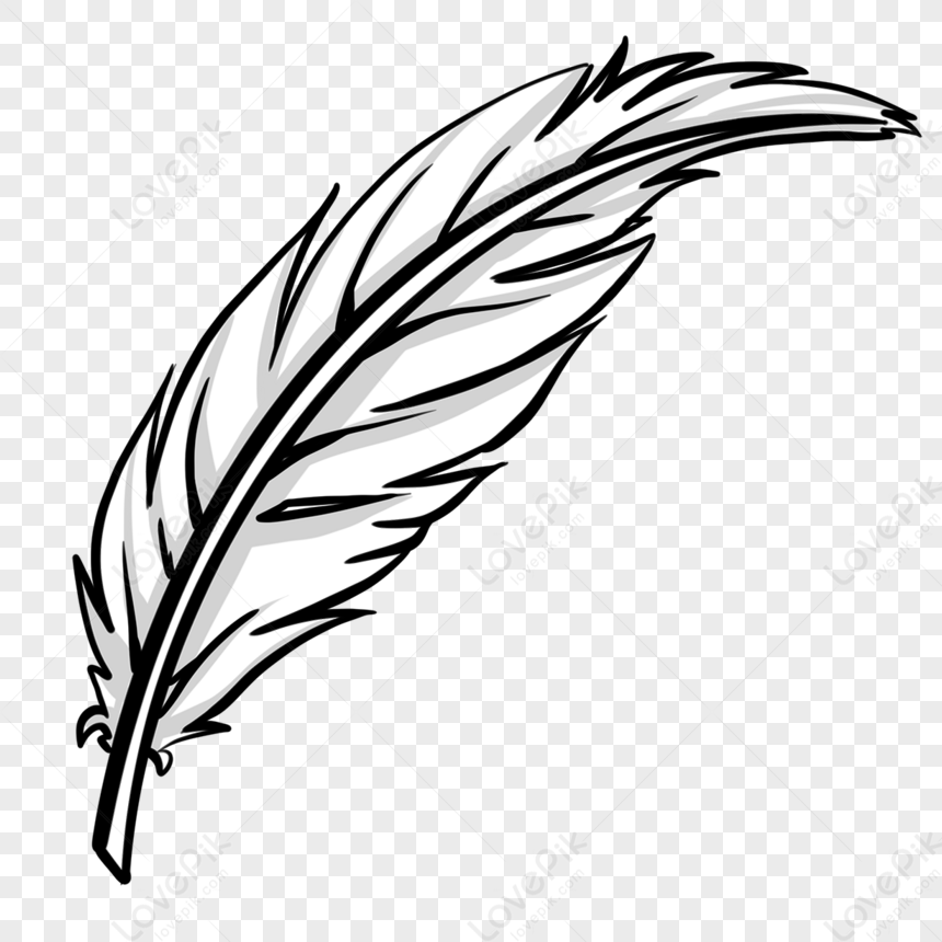 Quill Black And White Feather Clipart,white Feathers,black Feathers PNG