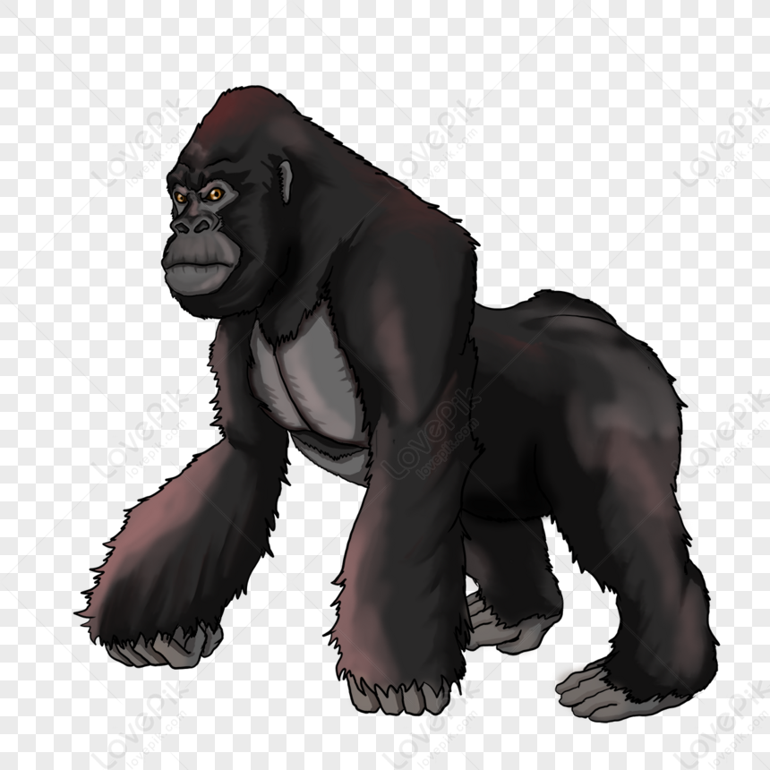 Realistic Four-legged Standing Black Gorilla,orangutan,black Legs ...