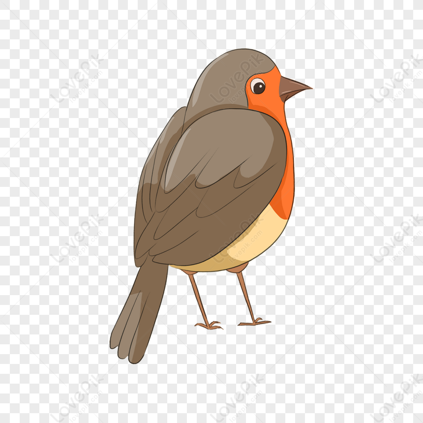 Robin Red Breasted Cute Clip Art,birds,red-breasted Bird PNG Image And ...