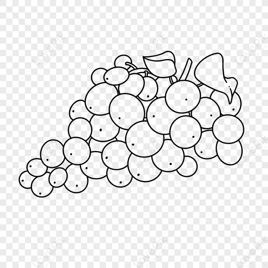 Stem And Leaf Grape Clipart Black And White,leaf Sketch,leaf Drawing ...