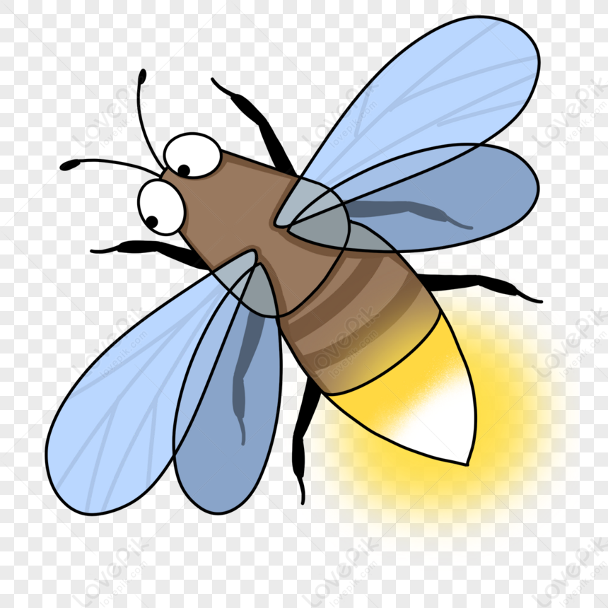 Beneficial Insect Firefly Clip Art,illuminate,insects,starlight PNG ...