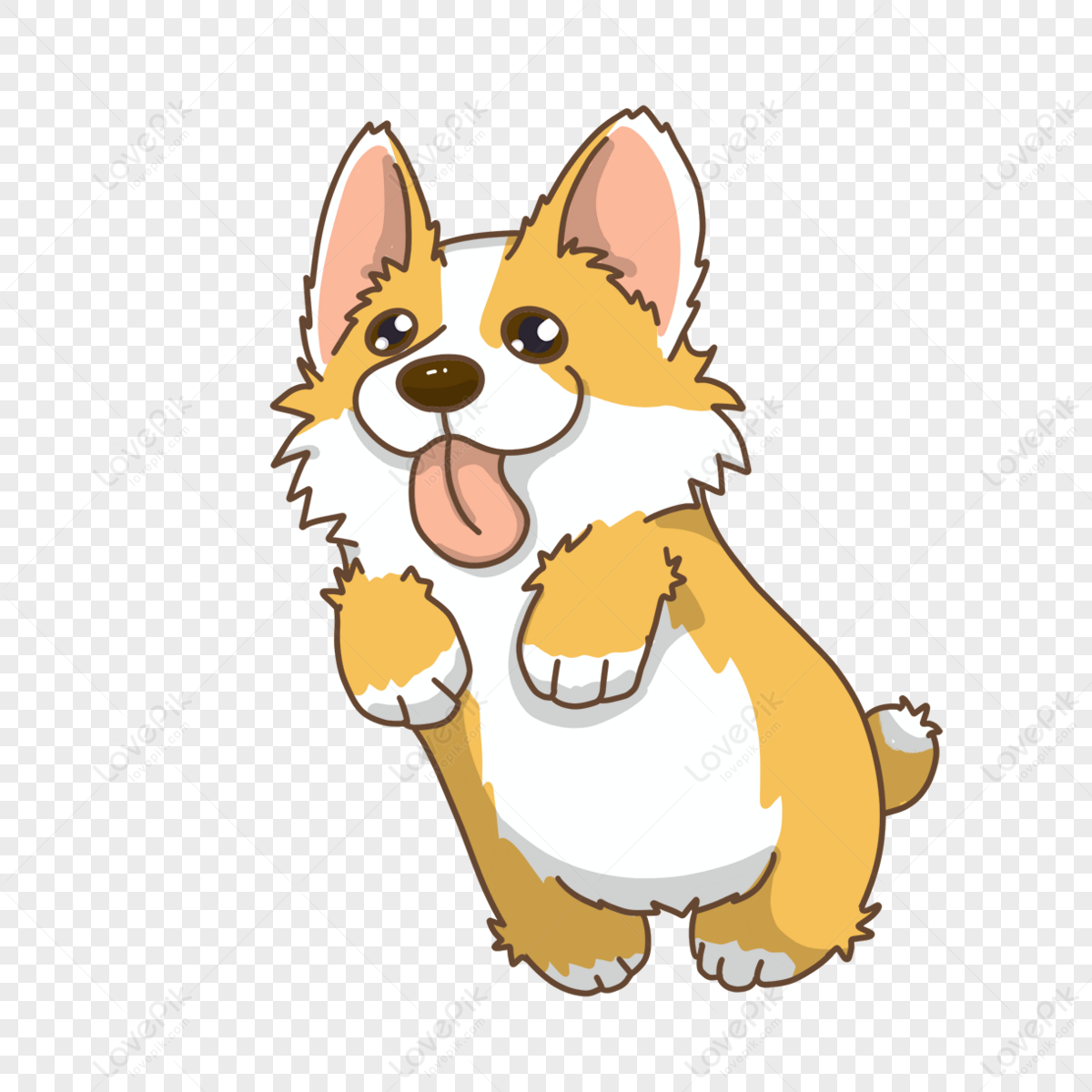Corgi with tongue out animal clipart,color,dog png transparent background