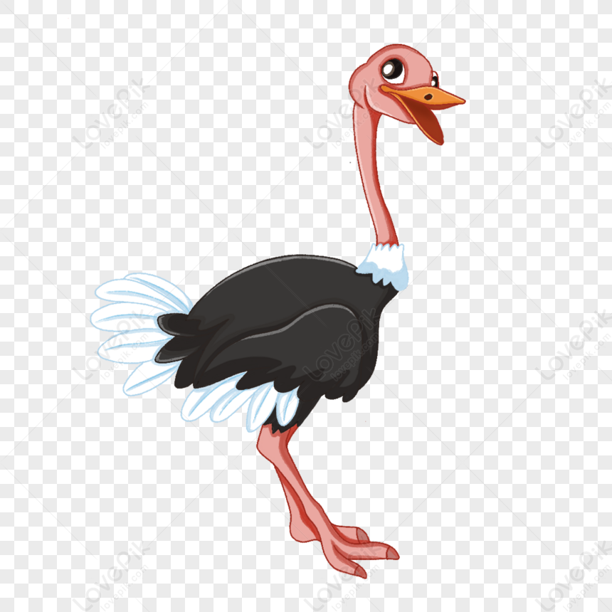 Cute Big-eyed Ostrich Clipart,cartoon,the Cartoon,large Birds PNG White ...