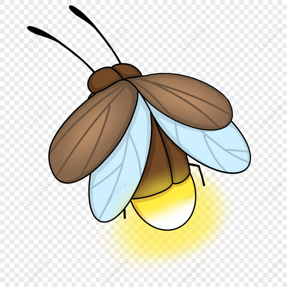 Insect Firefly Clip Art,summer,decoration,glowworm PNG Transparent ...