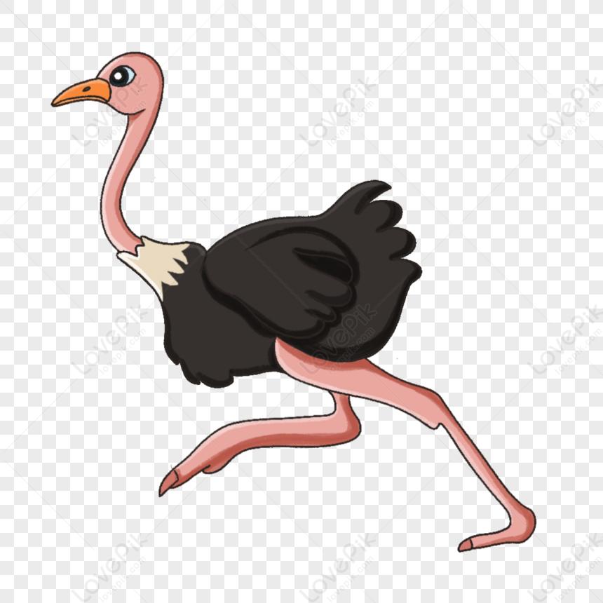 Ostrich On The Run Clipart,cartoon,the Cartoon,animal PNG White ...