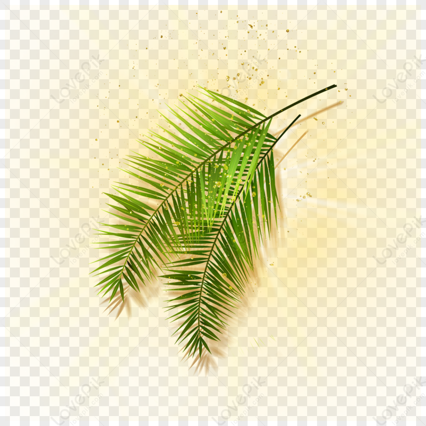 Palm Leaves In Golden Light Spots Tropical Summer Palm Leaf Border Png Hd Transparent Image And