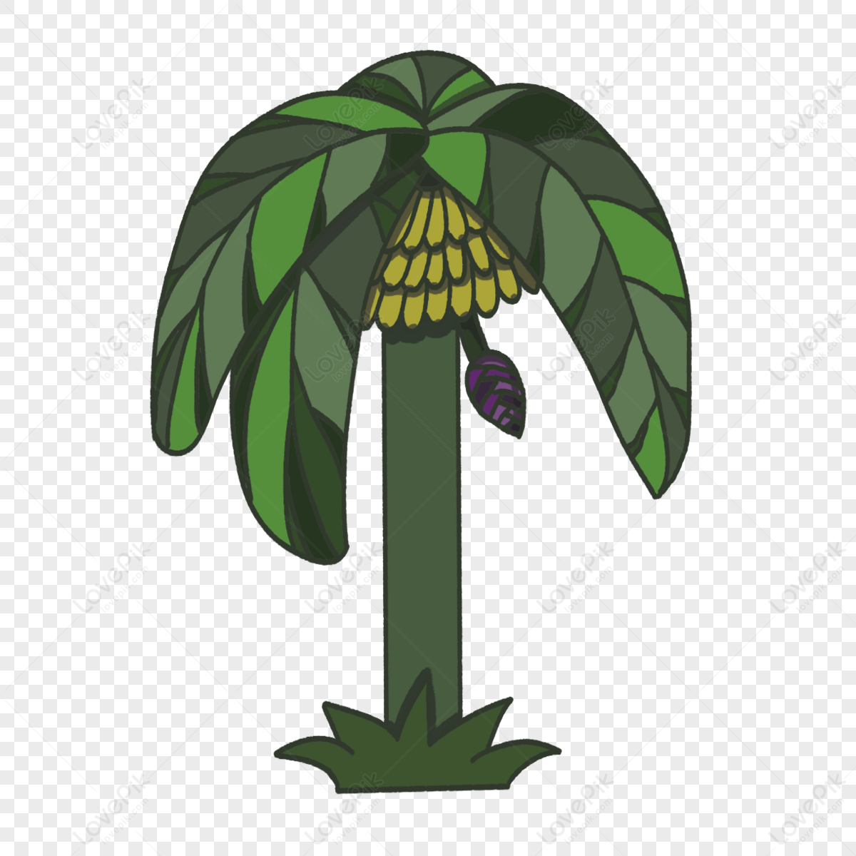Archade | Banana Tree Vector Drawings