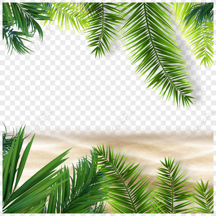 Summer Tropical Background Green Leafy Plant Beach,leafy Greens,summer ...