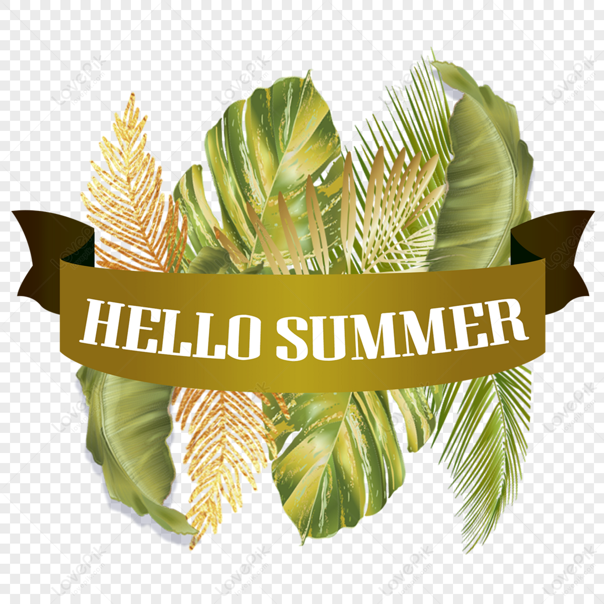 Summer Hello PNG Images With Transparent Background