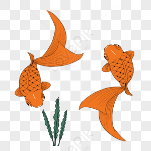 Goldfish Cartoon, Fish, Hand Drawn Fish, Red Fish PNG Transparent ...