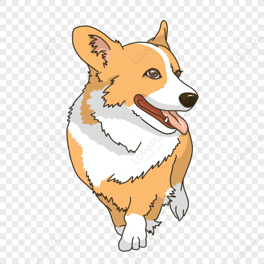 Walking Corgi Animal Clipart,yellow,walk Animation,anime PNG White ...