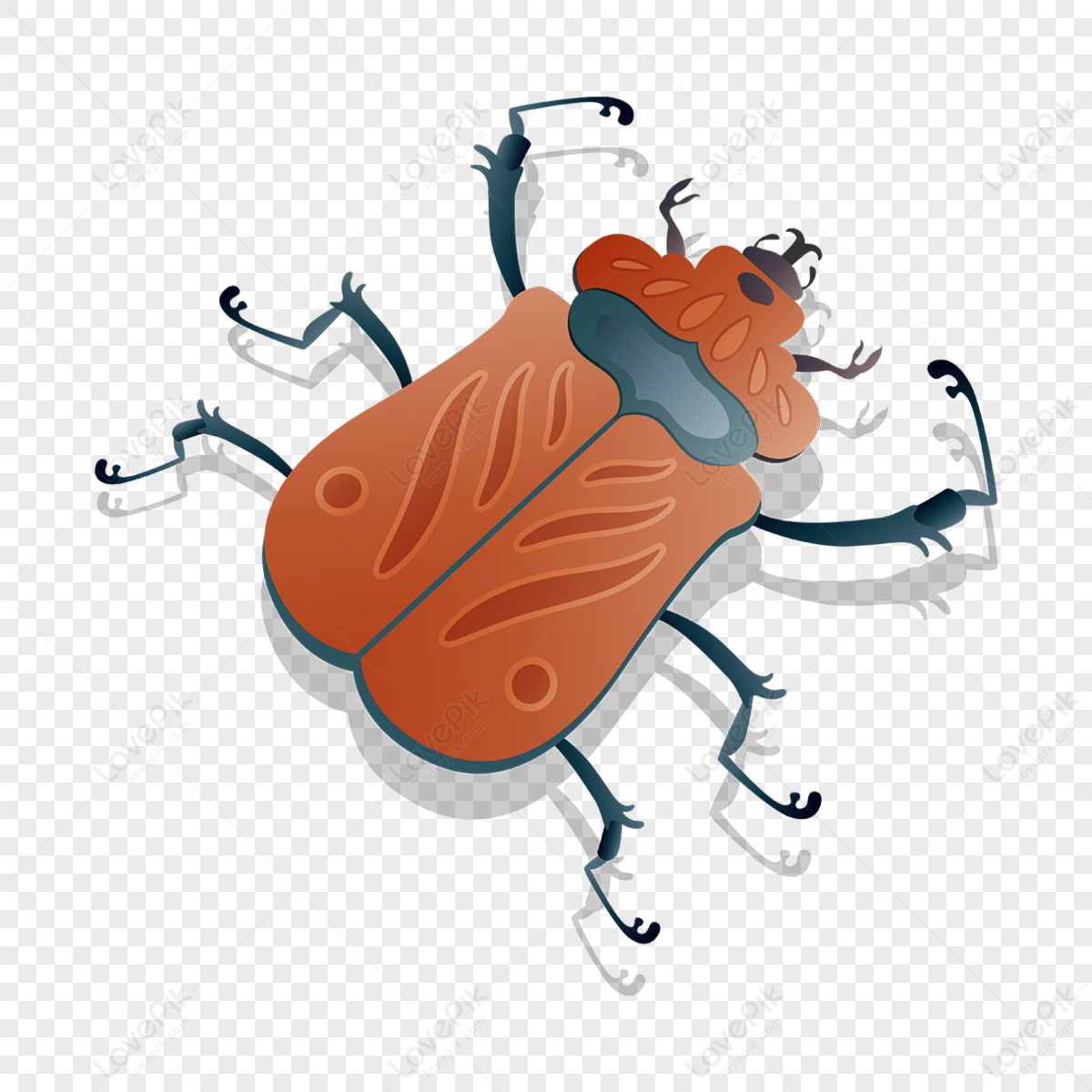 жуки с крыльями PNG изображения с прозрачным фоном | Скачать бесплатно на  Lovepik.com
