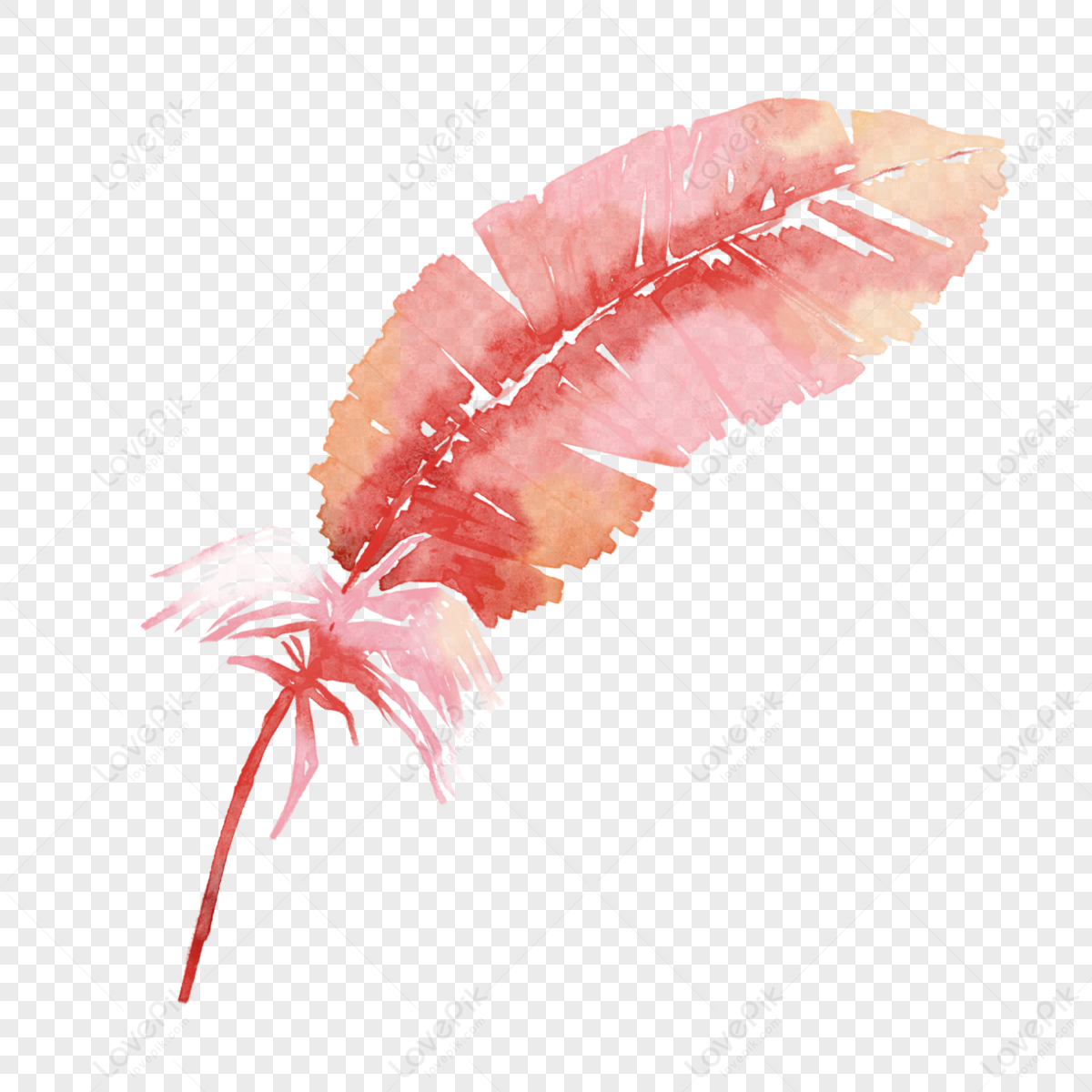 Pink feather isolated 27851841 PNG