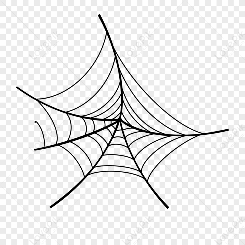 Round Spider Web,web Drawing,spider Web Material,spider Sketch Free PNG ...