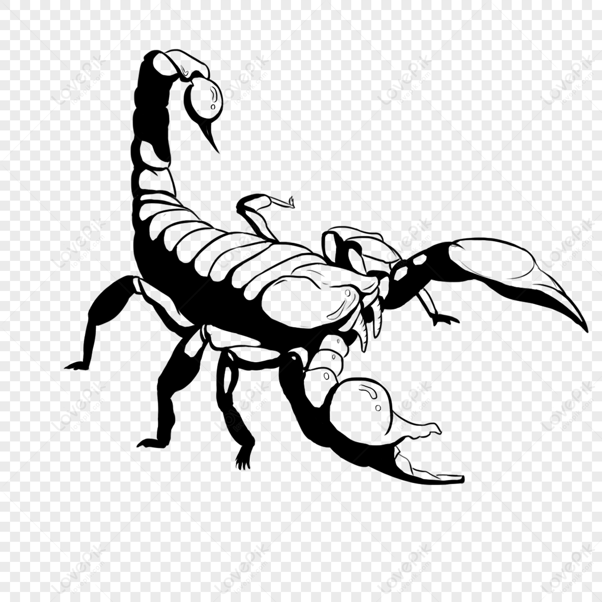 Big Scorpion Clip Art,light And Shadow Painting,dangerous Animals 