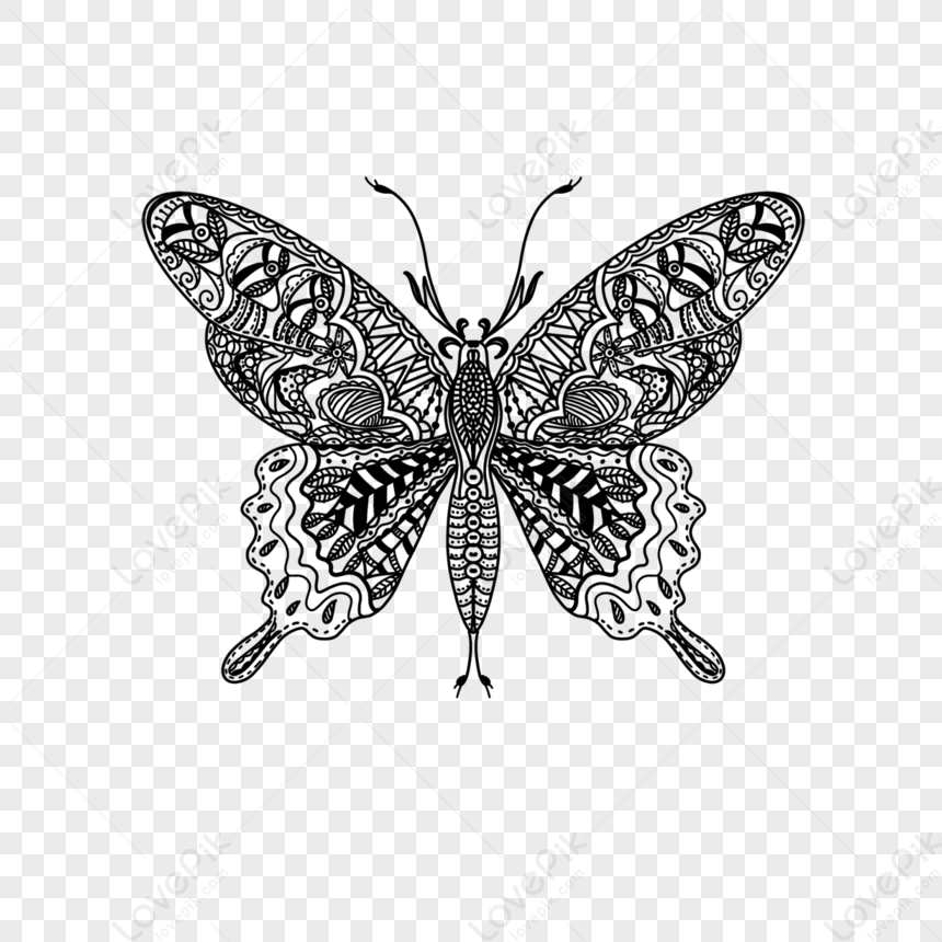 Tranh tô màu con bướm cơ bản « in hình này