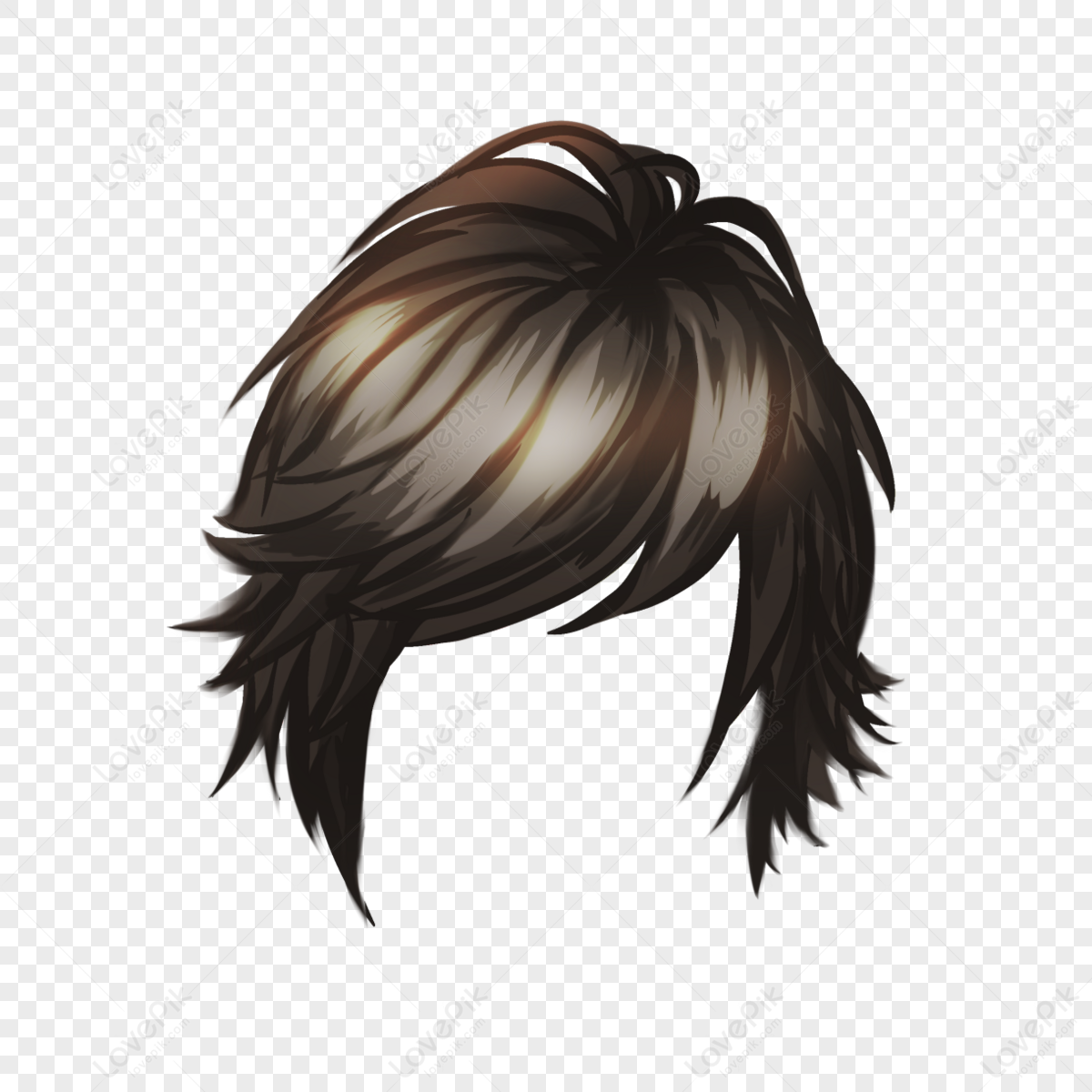 Download HD Hair Hairstyle Haircut Shorthair - Lace Wig Transparent PNG  Image - NicePNG.com
