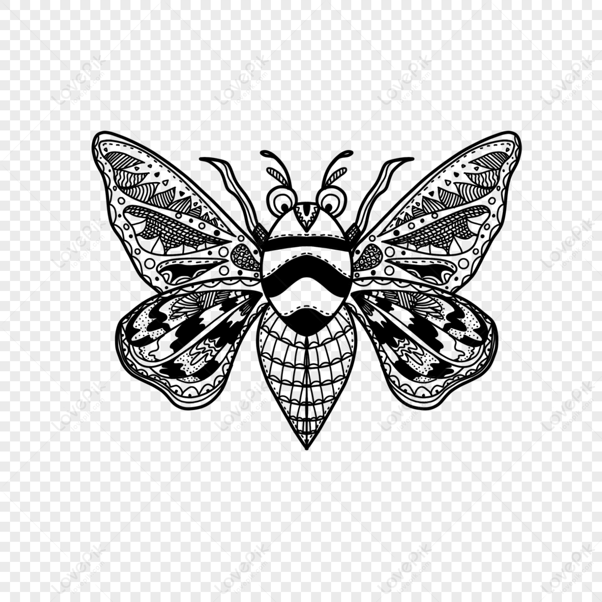 Butterflys Black And White Line Style Coloring Book,color Books,line ...