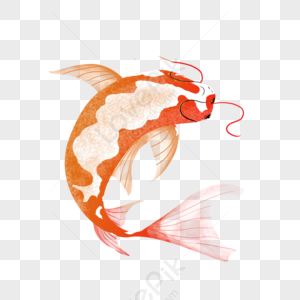 Cartoon Koi Images, HD Pictures For Free Vectors Download - Lovepik.com