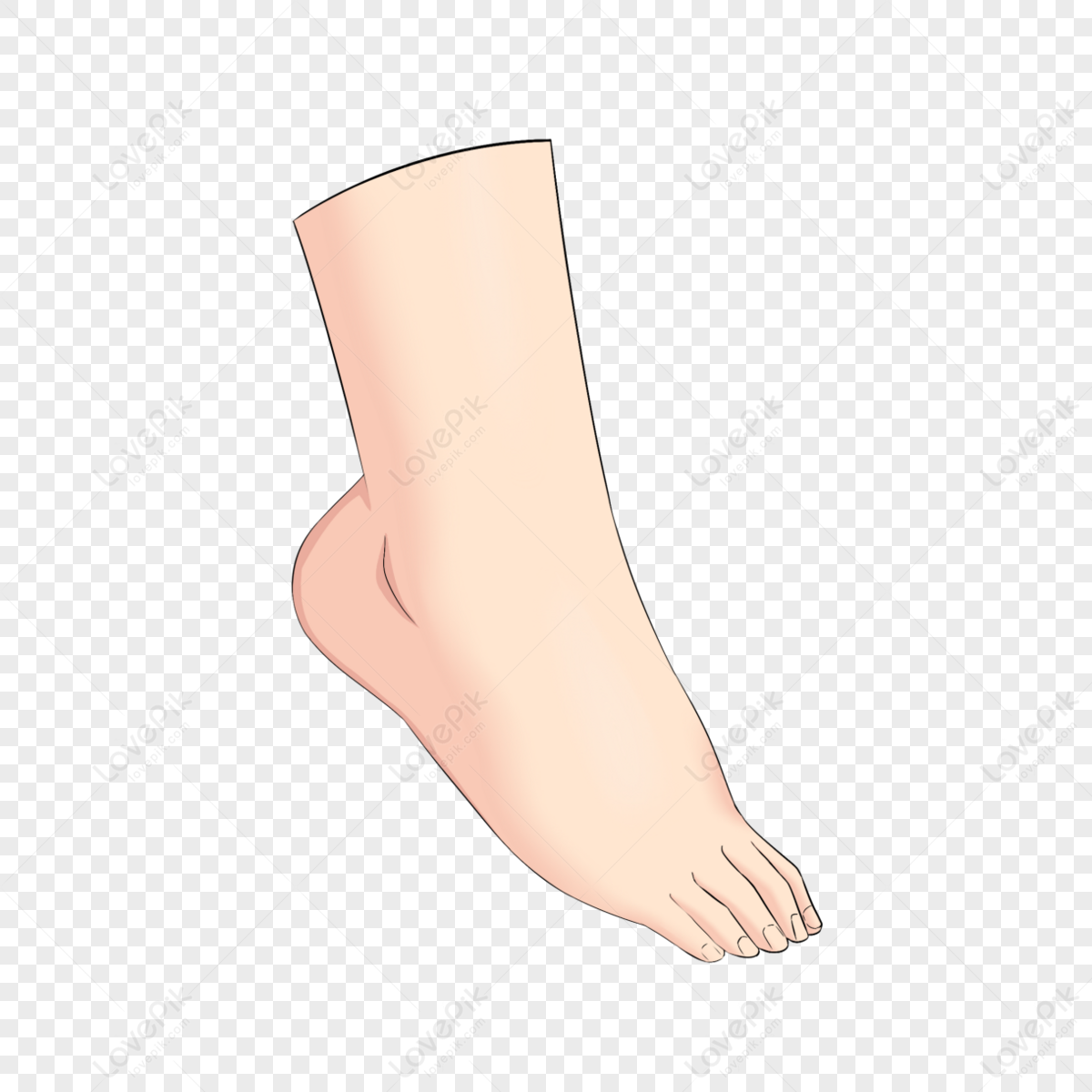 Girl Feet PNG Images With Transparent Background | Free Download On Lovepik