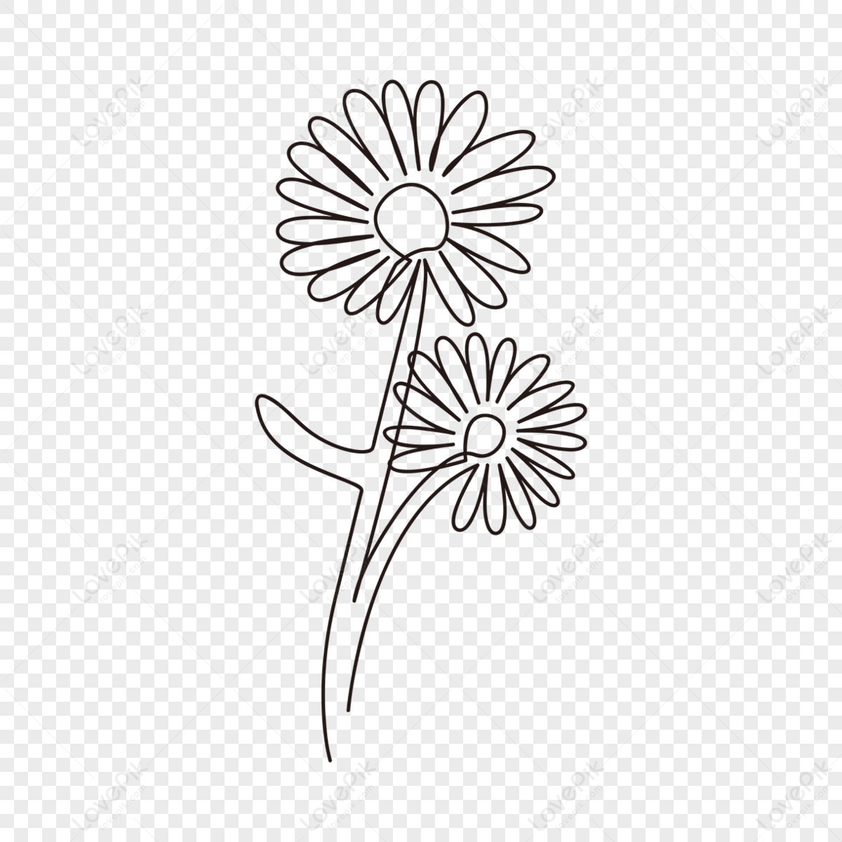 Sun Flower Drawing PNG Images With Transparent Background | Free ...