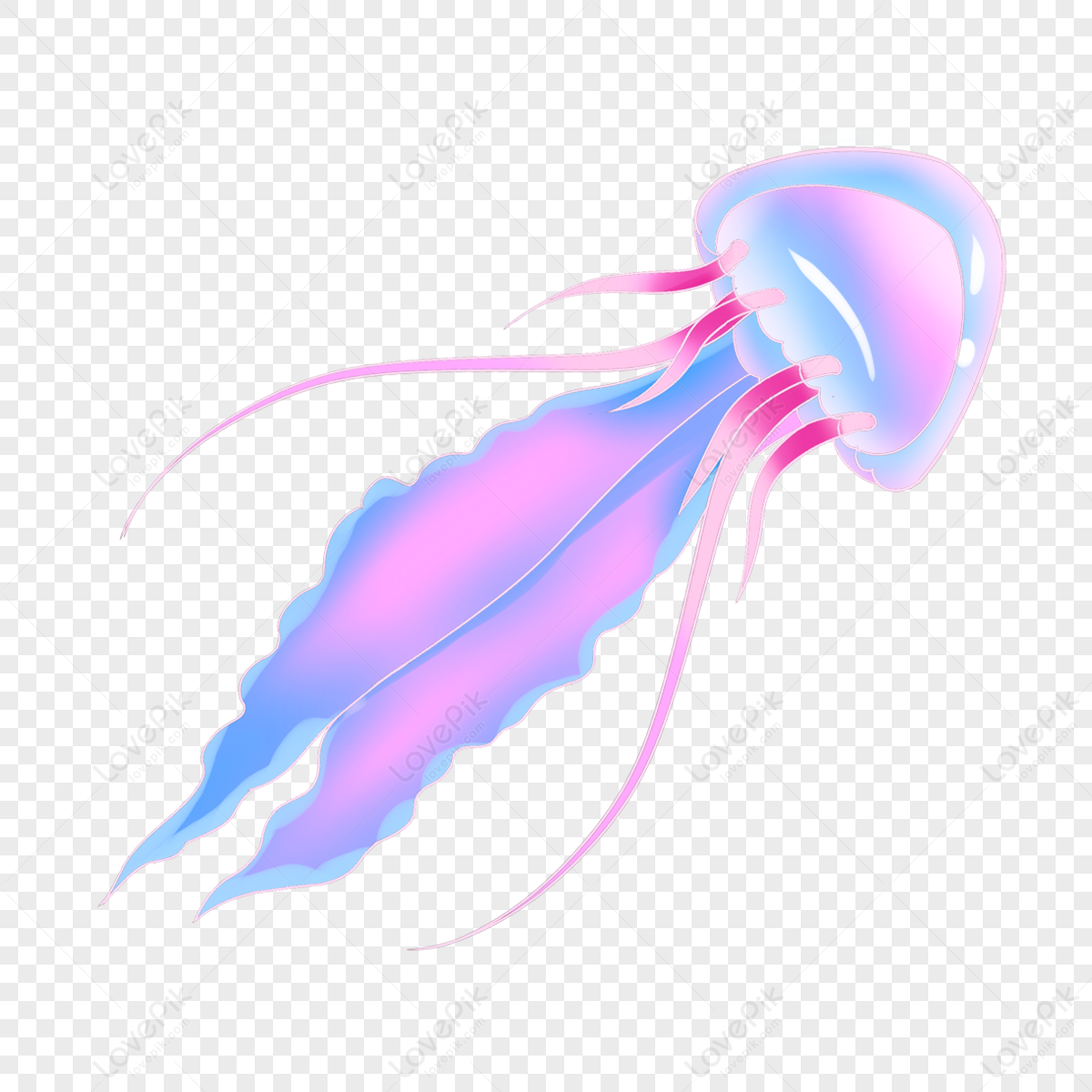 Pink Jellyfish Clipart,sea,ocean,the Sea PNG Image Free Download And ...