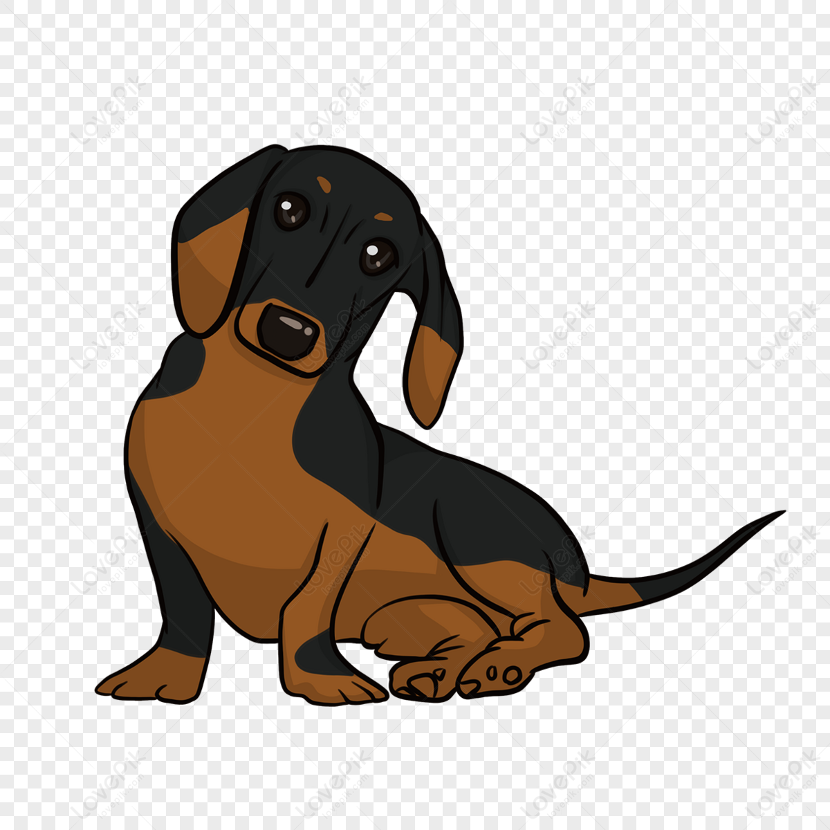 Sitting animal dachshund brown clipart,domestic,cut out,purebred png picture