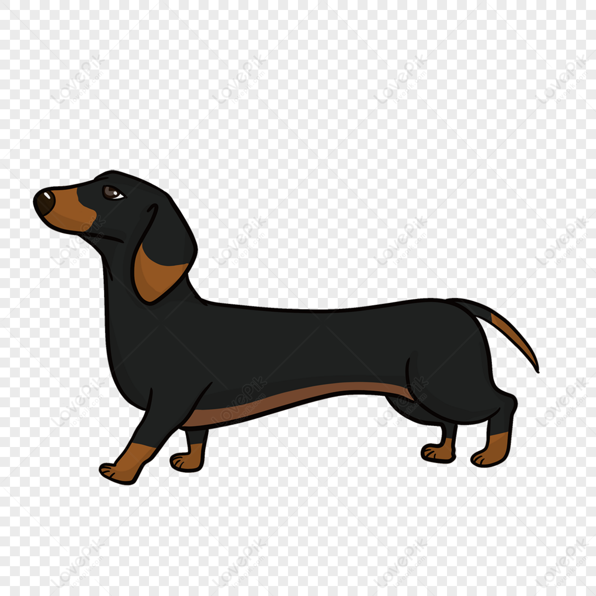 Walking dachshund animal clipart,cartoon character-dachshund-dog,pet,anime png free download
