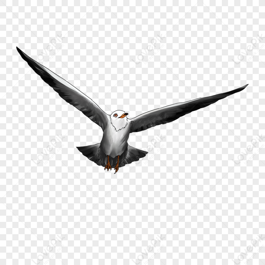 seagull blood by reaper-neko on DeviantArt