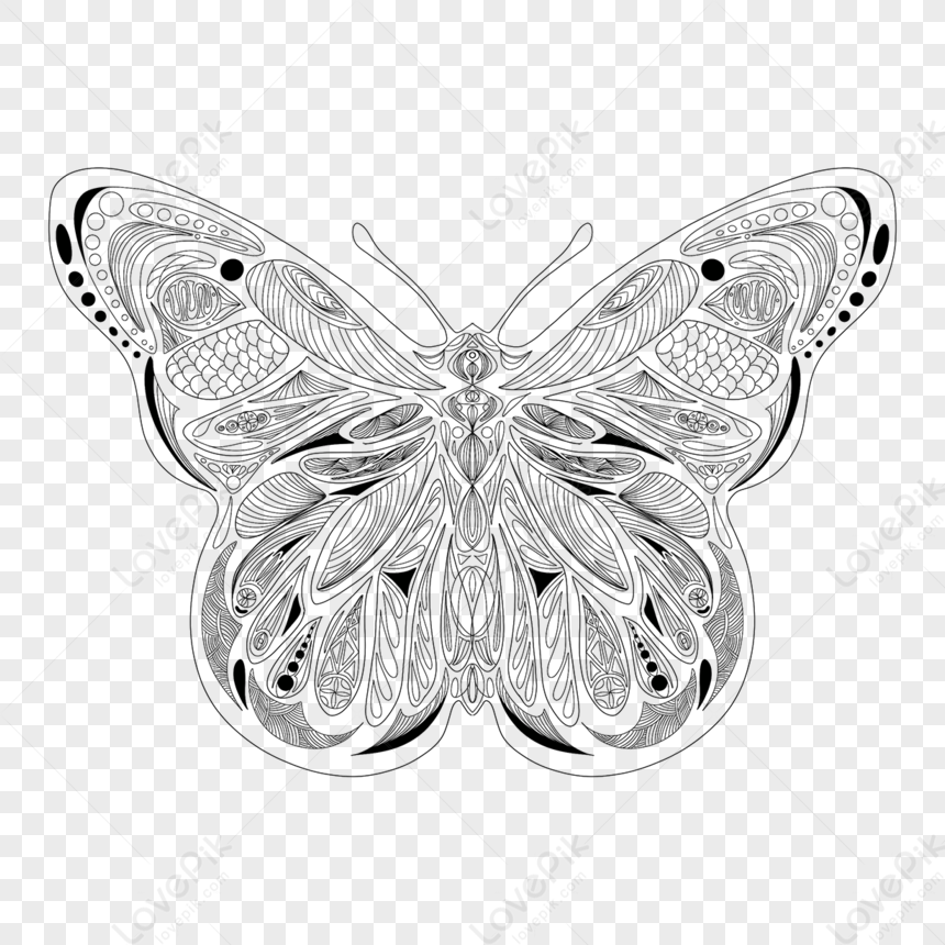 black-and-white-geometric-symmetrical-butterfly-filling-insects