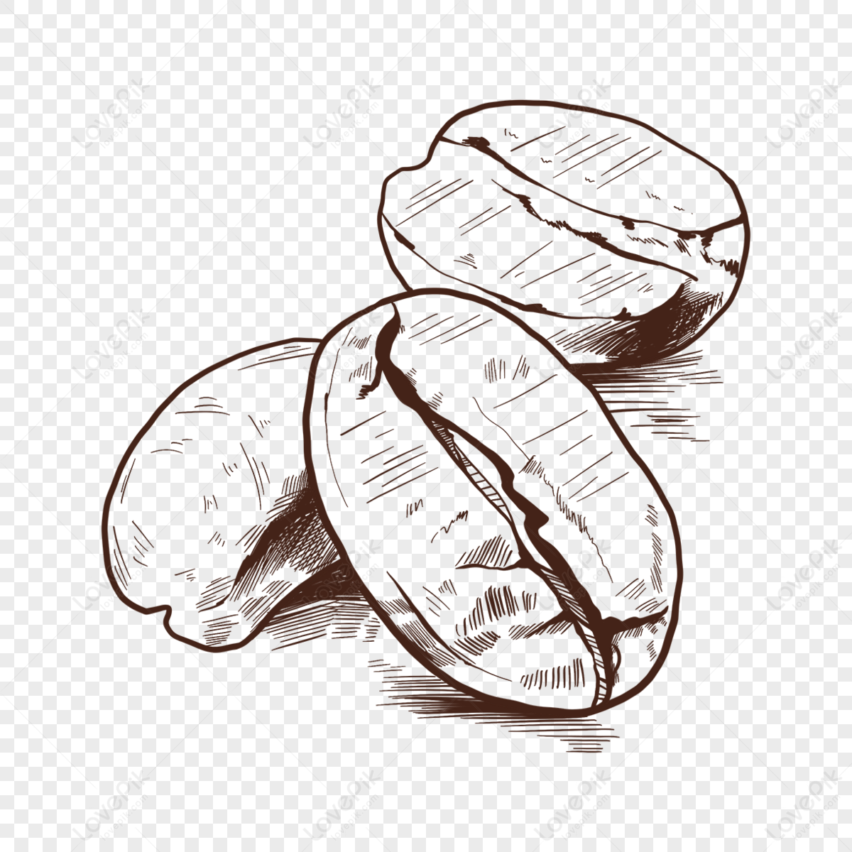 Coffee Bean Drawing PNG Transparent, Black And White Line Drawing Coffee  Bean Illustration Element, Coffee Drawing, Wing Drawing, Rat Drawing PNG  Image For Free Download