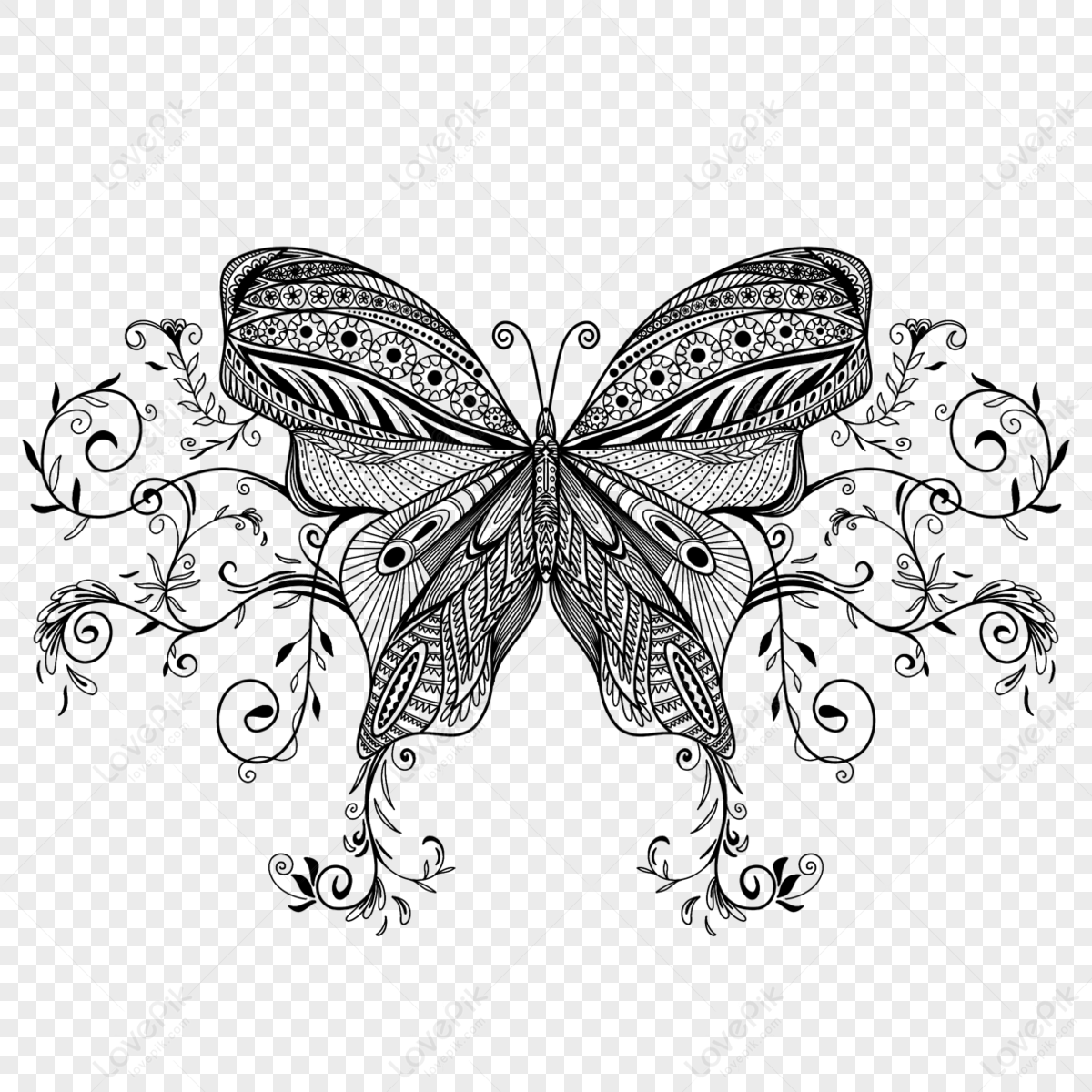 Butterfly with lace pattern on wings, monochromatic white and black  calligraphic drawing on gray background. Vector design element, isolated  decorative object Stock Vector | Adobe Stock