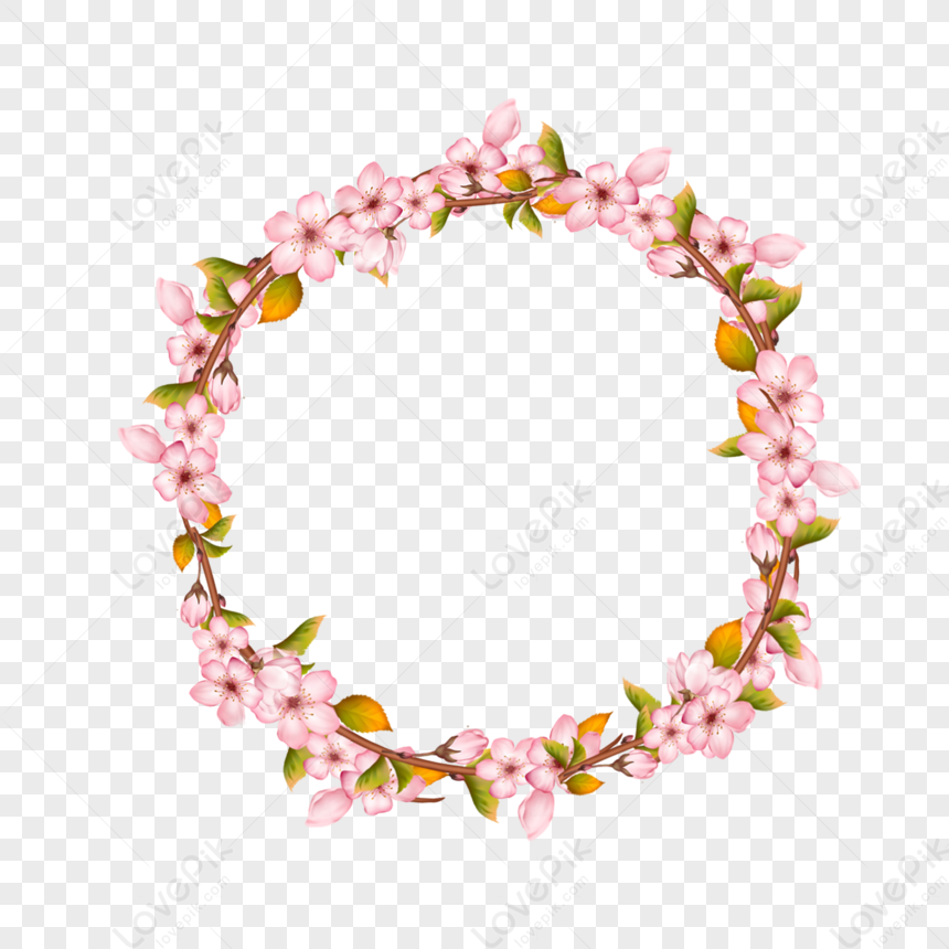 Pink Cherry Blossom Blossom Ring Border,cherry Blossoms,golden PNG ...