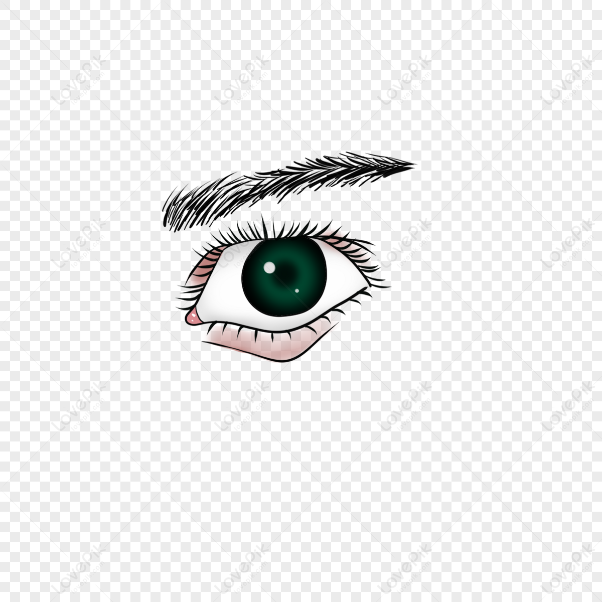 Realistic Male Eyebrow Eyes,human,color,diagnosis PNG Hd Transparent