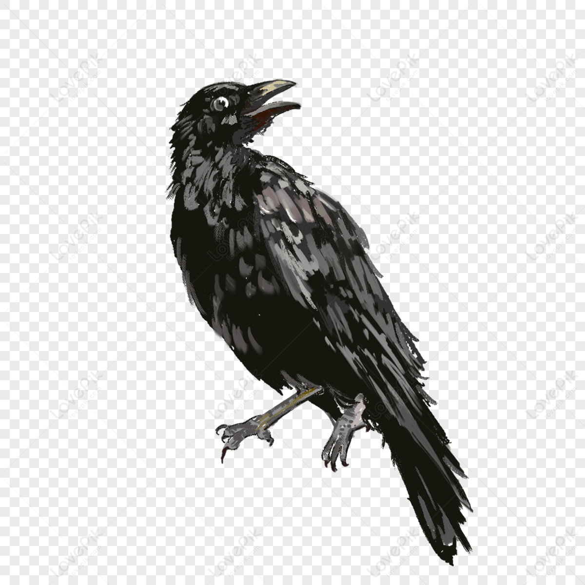 Download premium png of Png black feather design element by Busbus about  crow, black feather, raven, crow feather, and plum…