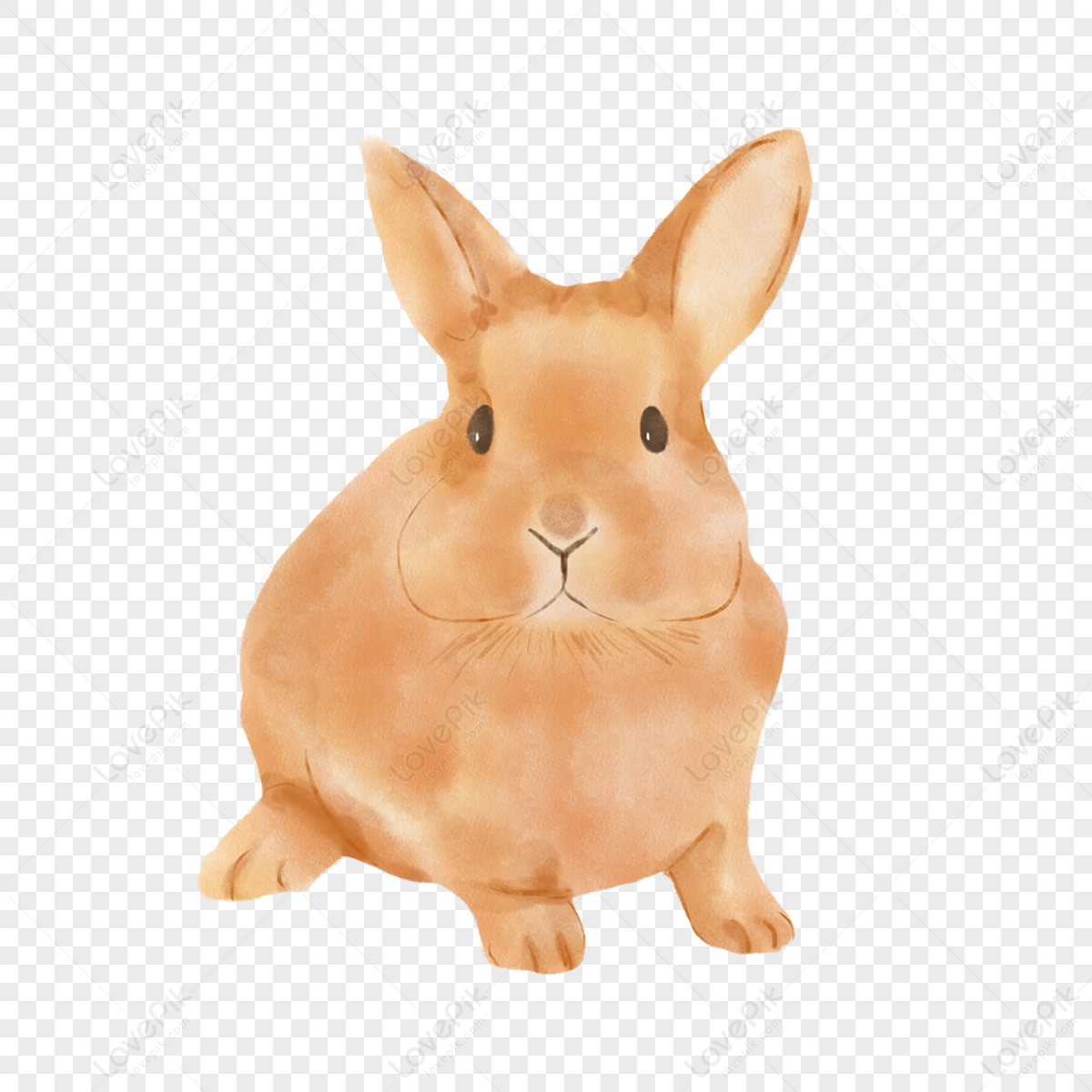 Watercolor vacuctous animal rabbit,bloom,cute,anime png hd transparent image