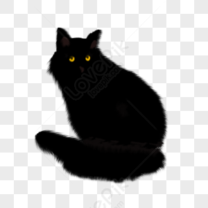 Cat Vector PNG Images, Vector Cat Icon, Cat Icons, Cat, Halloween PNG Image  For Free Download