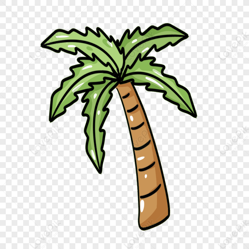 Brown Green Line Hand Drawn Cartoon Coconut Tree,black,doodle PNG ...