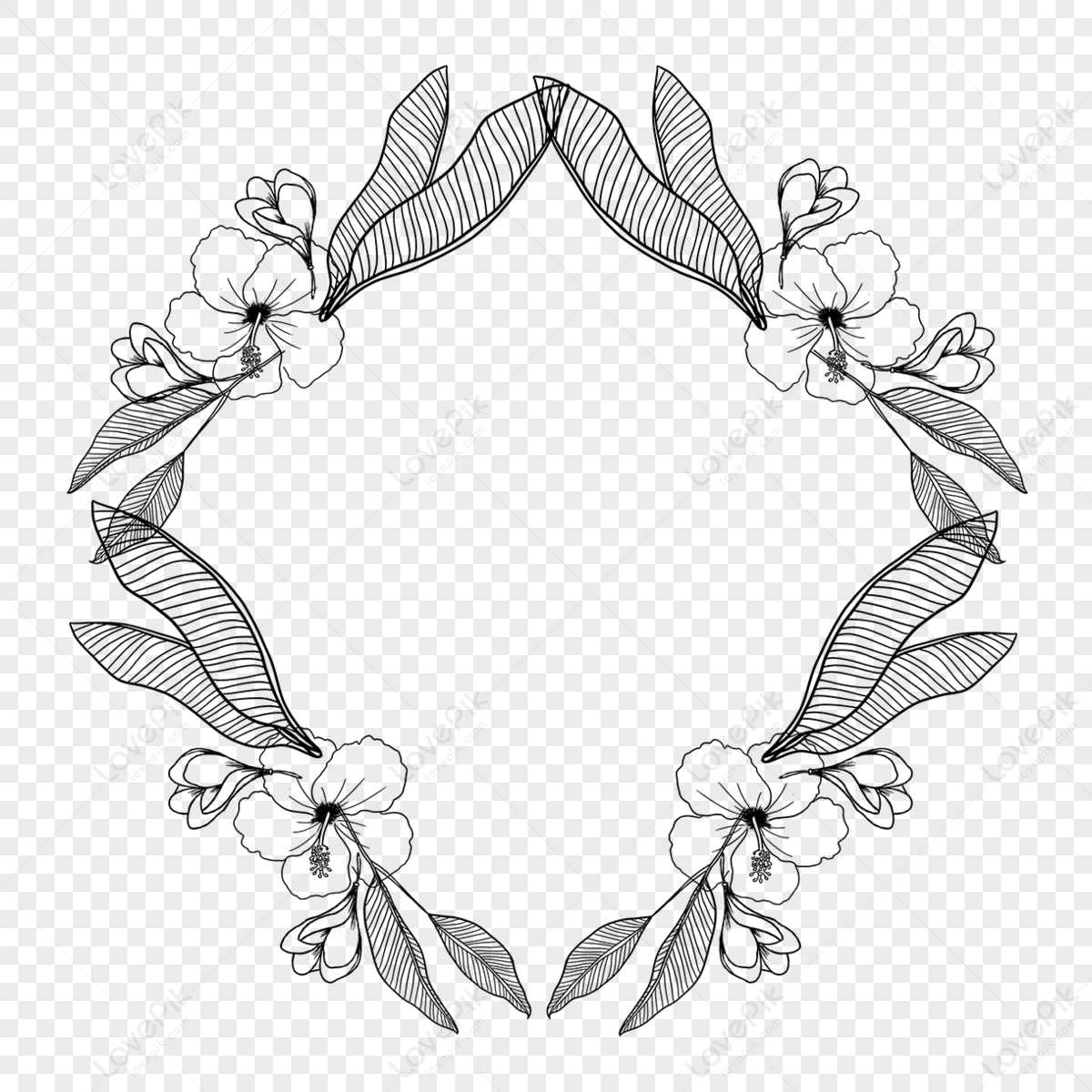 Line Drawing Floral Leaf Border Simple,black,leaf Sketch Free PNG And ...