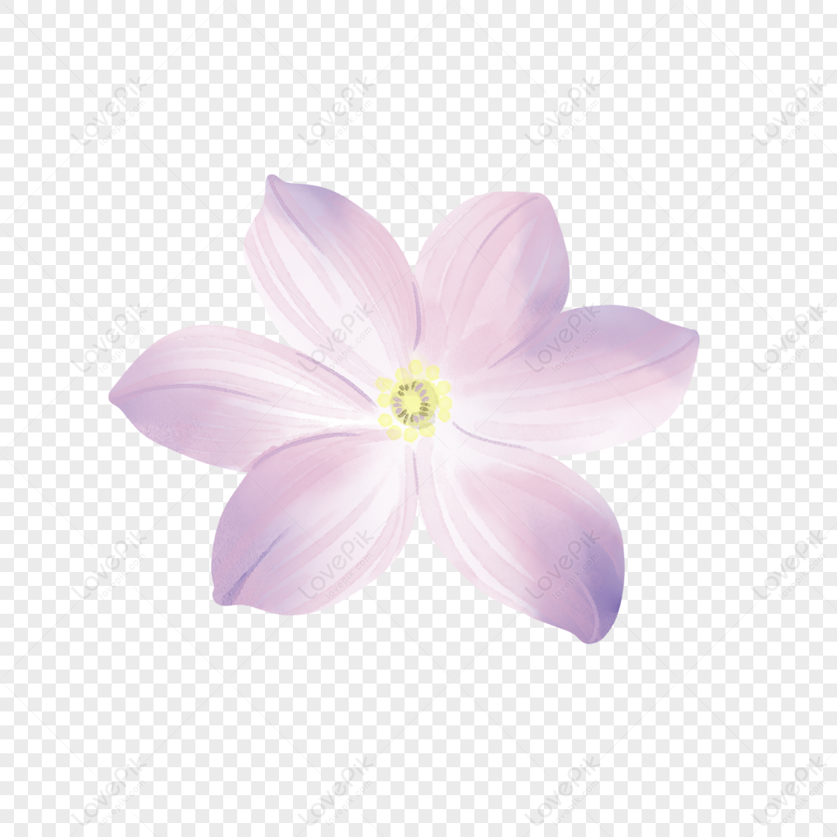 Spring Flower Pattern PNG Images With Transparent Background | Free ...