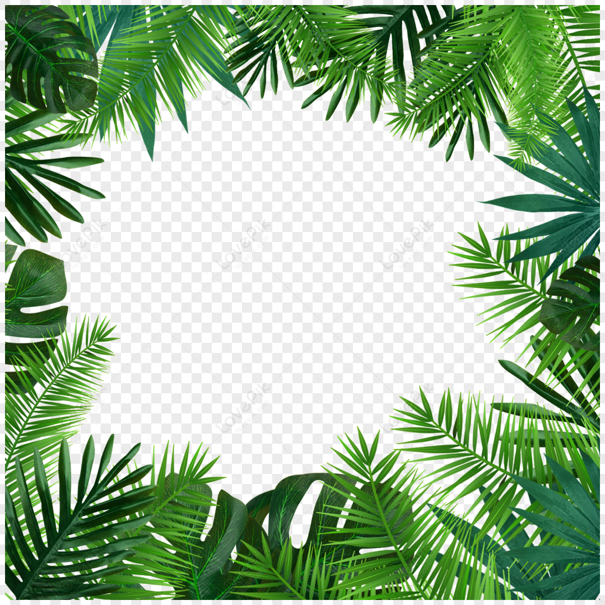 Tropical Tree PNG Images With Transparent Background | Free Download On ...